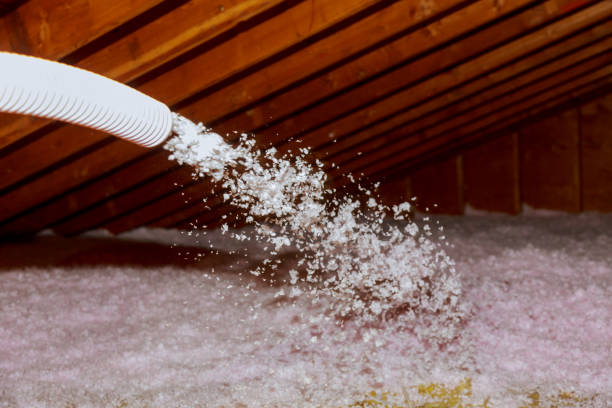 Best Eco-Friendly Insulation in Manor, TX